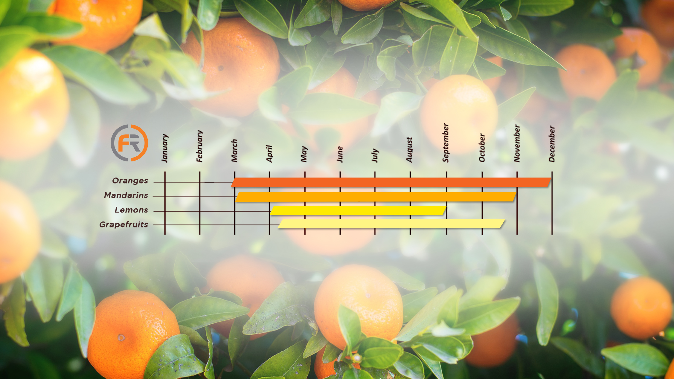 harvest calendar fracalossi S.A.